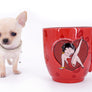 Akita Extreme Short Muzzle Girl