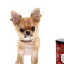 Adele Extreme Short Muzzle Doll Face Micro Girl