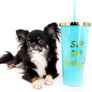 Birkin Doll Extreme Short Muzzle Boy
