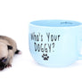 Milan West Teacup SC Blue Fawn Boy