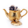 Milan West Teacup SC Blue Fawn Boy