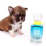 Miny is a micro teacup LC Sable Boy