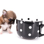 Miny is a micro teacup LC Sable Boy