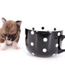 Miny is a micro teacup LC Sable Boy