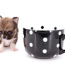 Miny is a micro teacup LC Sable Boy