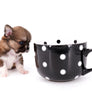 Miny is a micro teacup LC Sable Boy