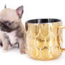 Milan West Teacup SC Blue Fawn Boy