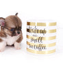 Miny is a micro teacup LC Sable Boy