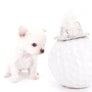 Suri Micro Teacup LC White Boy