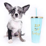 Marly Blue Merle LC Teacup Boy