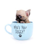 Milan West Teacup SC Blue Fawn Boy