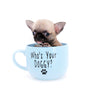 Milan West Teacup SC Blue Fawn Boy