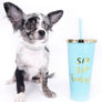 Marly Blue Merle LC Teacup Boy
