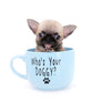 Milan West Teacup SC Blue Fawn Boy