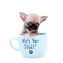 Milan West Teacup SC Blue Fawn Boy
