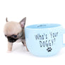 Milan West Teacup SC Blue Fawn Boy
