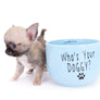 Milan West Teacup SC Blue Fawn Boy