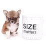 Miny is a micro teacup LC Sable Boy