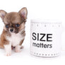 Miny is a micro teacup LC Sable Boy
