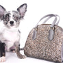Marly Blue Merle LC Teacup Boy