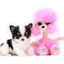 Sold Baby Luna