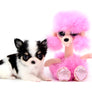 Sold Baby Luna