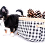 Birkin Doll Extreme Short Muzzle Boy