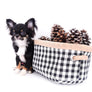 Birkin Doll Extreme Short Muzzle Boy
