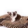 Romeo Tiny Micro Boy