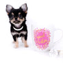 Sofia Micro Teacup Extreme Doll Face Girl