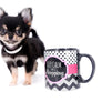 Sofia Micro Teacup Extreme Doll Face Girl