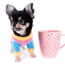 Sofia Micro Teacup Extreme Doll Face Girl