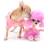 Moyra Micro SC Sable Girl