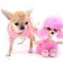 Moyra Micro SC Sable Girl