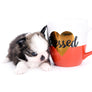 Starbucks SC white sable Micro Boy
