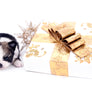 Starbucks SC white sable Micro Boy