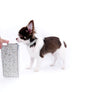 Romeo Tiny Micro Boy