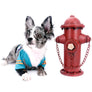 Marly Blue Merle LC Teacup Boy
