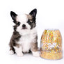 Starbucks SC white sable Micro Boy