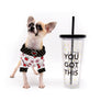 Zeus Extrem Short Muzzle Boy