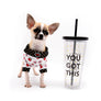 Zeus Extrem Short Muzzle Boy