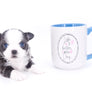 Rome Blue Lavender Blue Eyes Micro