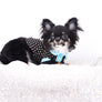Birkin Doll Extreme Short Muzzle Boy