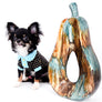 Birkin Doll Extreme Short Muzzle Boy