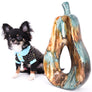 Birkin Doll Extreme Short Muzzle Boy