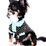 Birkin Doll Extreme Short Muzzle Boy