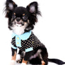 Birkin Doll Extreme Short Muzzle Boy