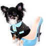 Birkin Doll Extreme Short Muzzle Boy