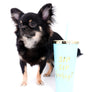 Boo Extreme Doll Face short Muzzle