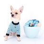 Liam Marcus Teacup Short Muzzle SC Boy